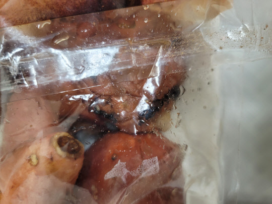 A씨에게 쓱배송으로 배송된 이마트 고구마 제품. <익명의 제보자 제공>